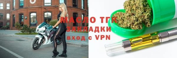 тгк Дмитровск