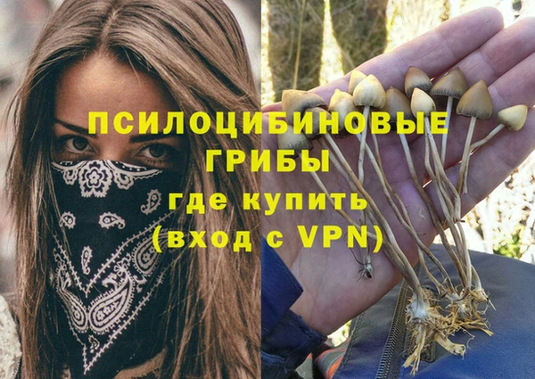 сатива Тихорецк