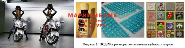 тгк Дмитровск