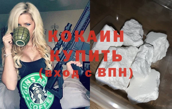 тгк Дмитровск