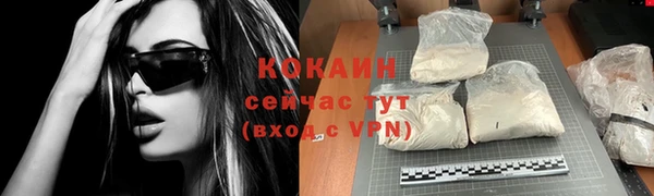 первитин Дмитриев