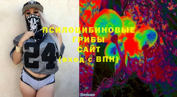 тгк Дмитровск