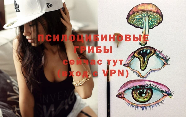 тгк Дмитровск