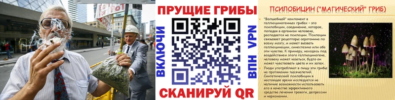 Галлюциногенные грибы мицелий  закладка  Камбарка 