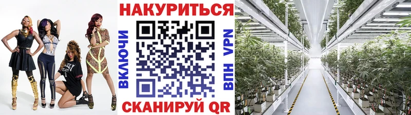 Канабис семена  omg ссылки  Камбарка 